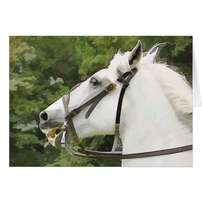 PFERDEKARTE (Vorderseite (Horizontal))