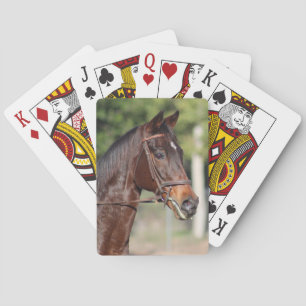 Pferdekarten Spielkarten
