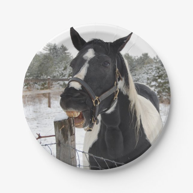 Pferdekauen Pappteller (Vorderseite)