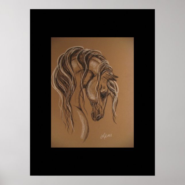 Pferdekizze Poster (Vorne)