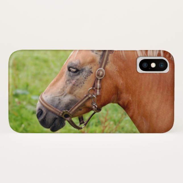 Pferdekopf 003 Case-Mate iPhone hülle (Rückseite (Horizontal))