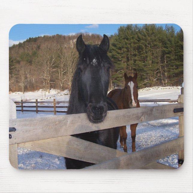 PFERDEland Mousepad (Vorne)