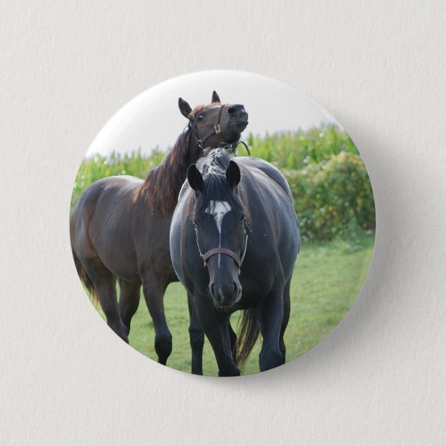 Pferdeliebhaber Button (Vorderseite)