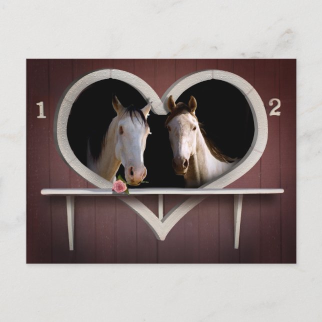 Pferdeliebhaber Postkarte (Vorderseite)