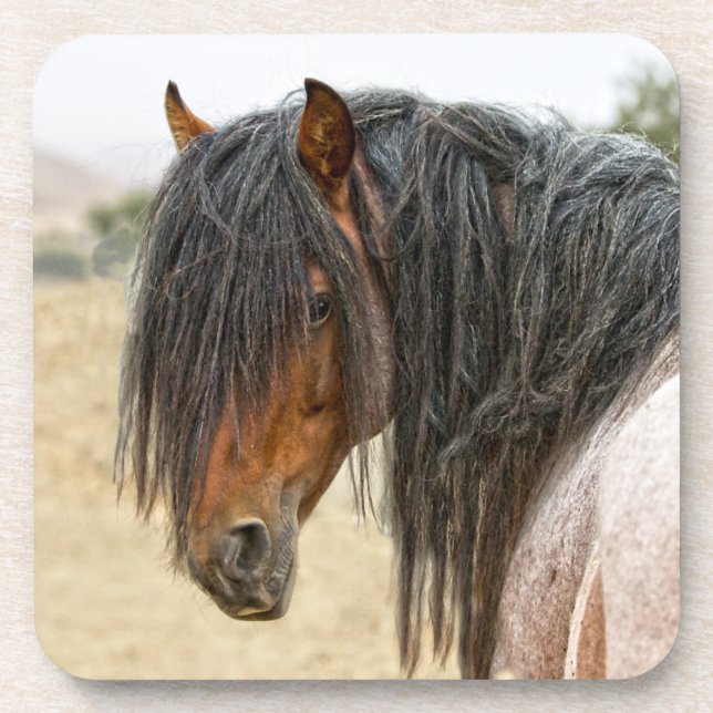 Pferdemähne Getränkeuntersetzer (Vorderseite)