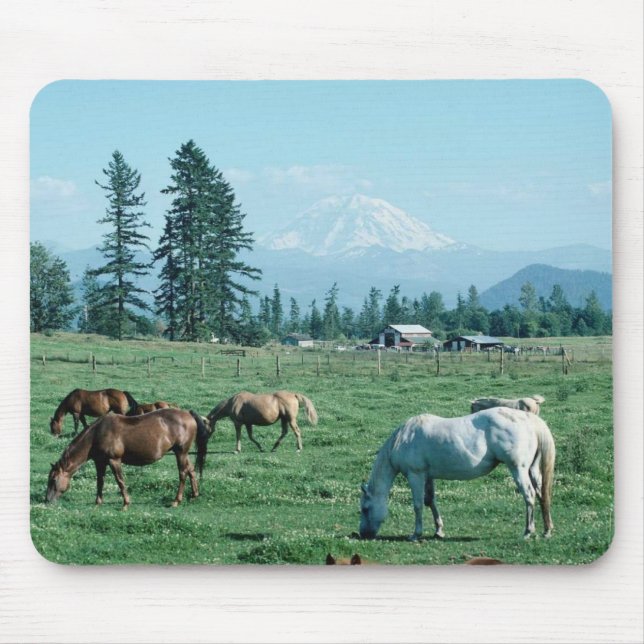 Pferdemausunterlage Mousepad (Vorne)
