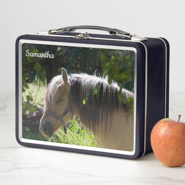 Pferdemetall-Lunchbox Metall Brotdose (Beispiel)