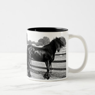 Pferdemodellieren Zweifarbige Tasse