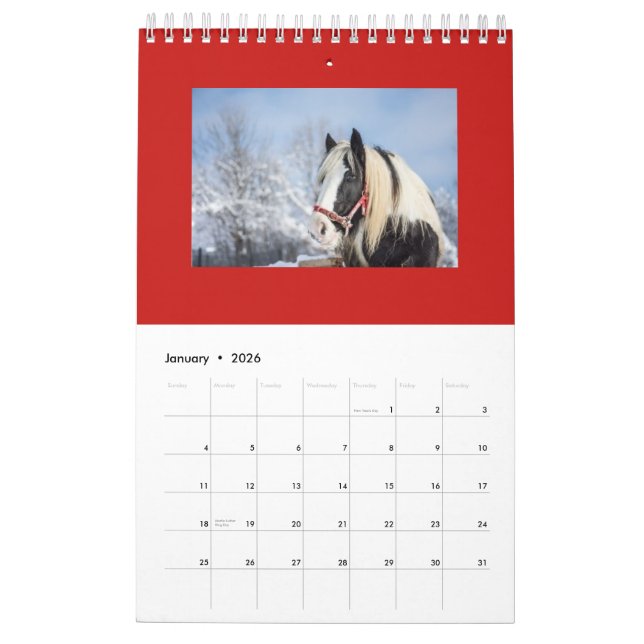 PFERDEmonatsplanungs-KALENDER Kalender (Jan 2026)