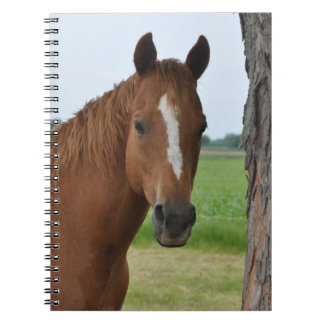 PferdeNotebook Notizblock