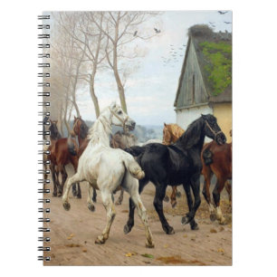 Pferdepack circa 1878 notizblock