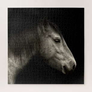 Pferdeportrait