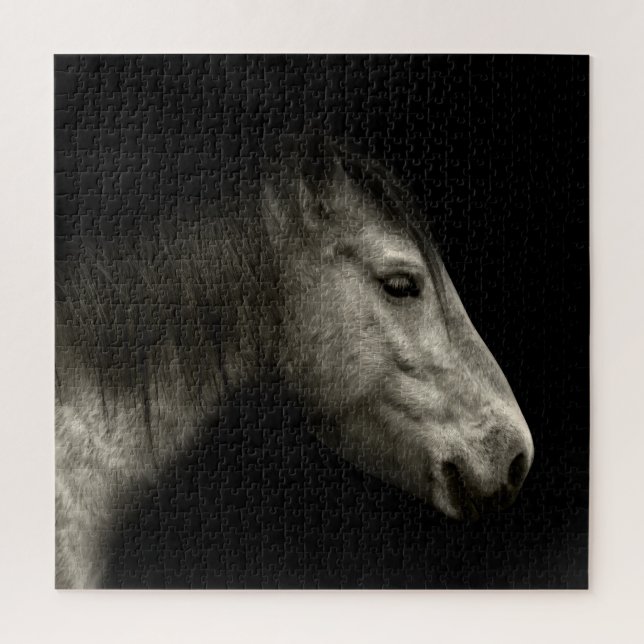 Pferdeportrait (Vertikal)