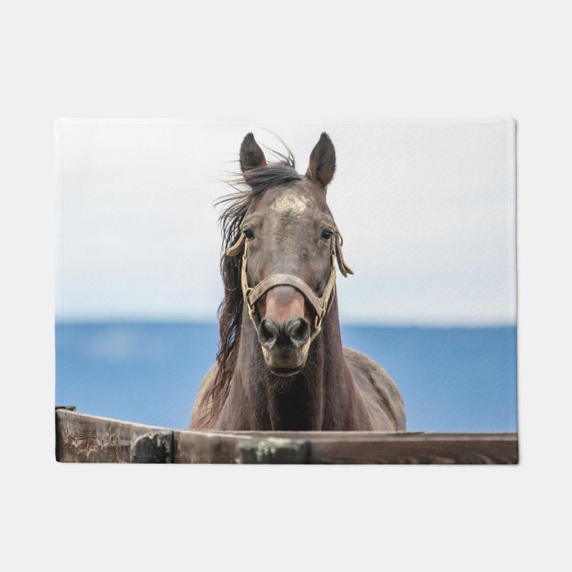 Pferdeportrait Fußmatte (Vorderseite)