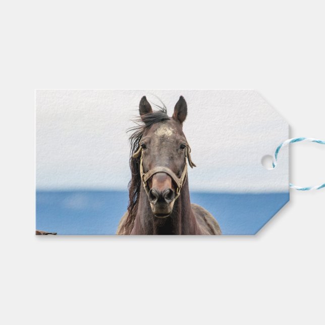 Pferdeportrait Geschenkanhänger (Vorderseite (Horizontal))