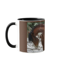 Pferdeportrait mit Namen