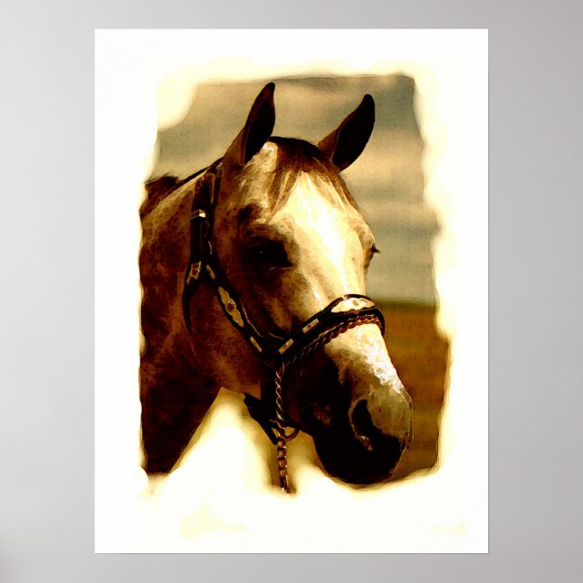 Pferdeportrait Poster (Vorne)
