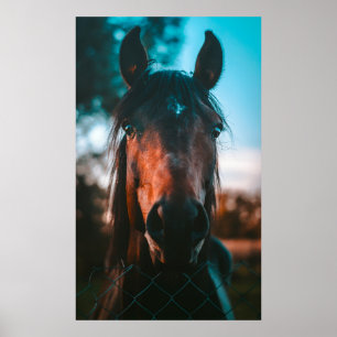 PFERDEPORTRAIT POSTER