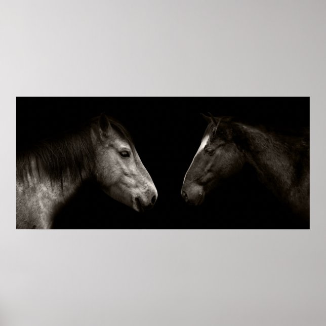 Pferdeportrait Poster (Vorne)