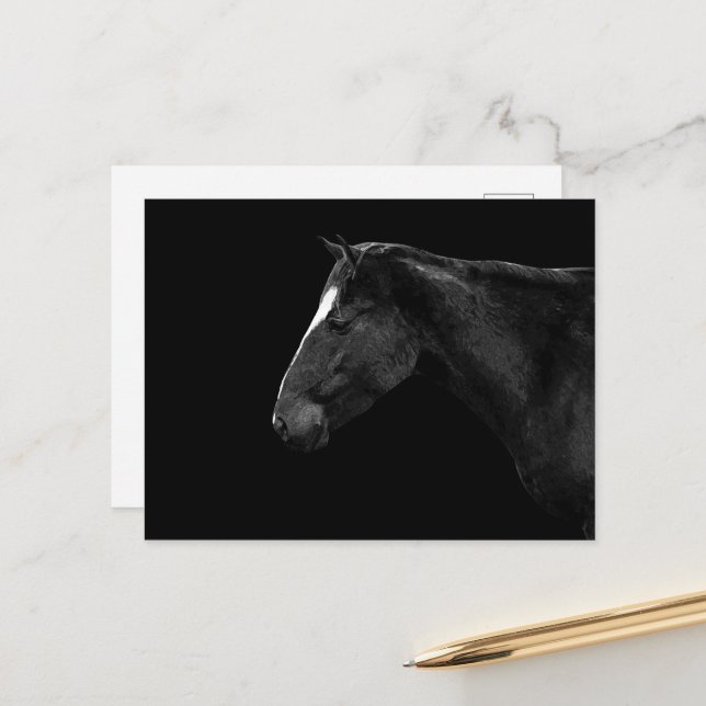 Pferdeportrait Postkarte (Vorderseite/Rückseite Beispiel)