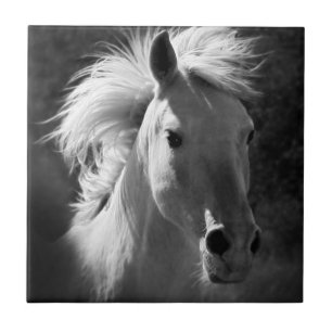 Pferdeportrait V Fliese