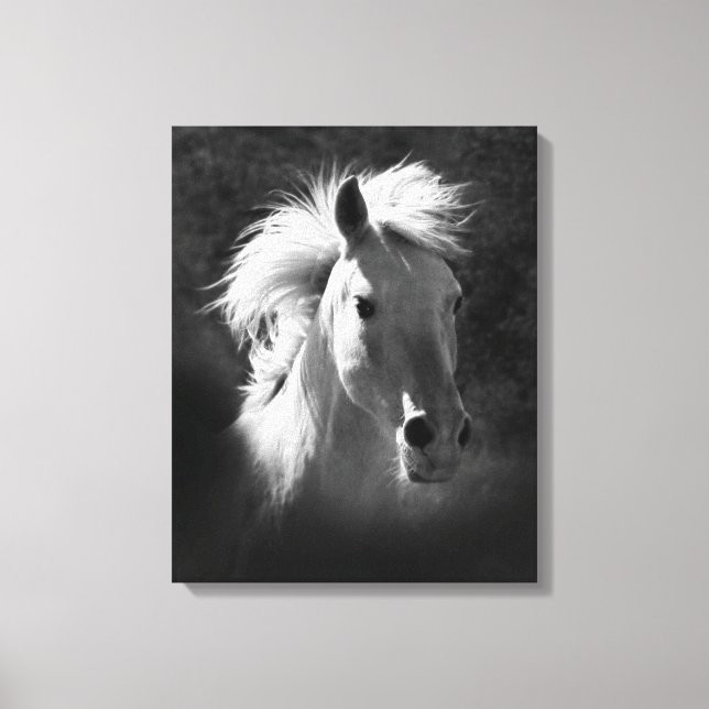 Pferdeportrait V Leinwanddruck (Vorderseite)