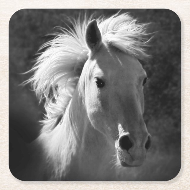 Pferdeportrait V Rechteckiger Pappuntersetzer (Vorderseite)