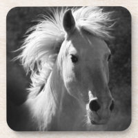 Pferdeportrait V