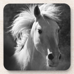 Pferdeportrait V Untersetzer