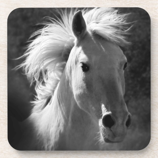 Pferdeportrait V Untersetzer (Vorderseite)