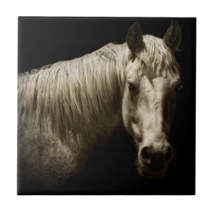 Pferdeportrait VI Fliese