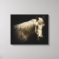 Pferdeportrait VI