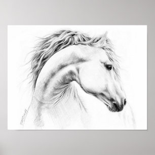 Pferdeporträt Bleistiftzeichnung Reitsportkunst Poster