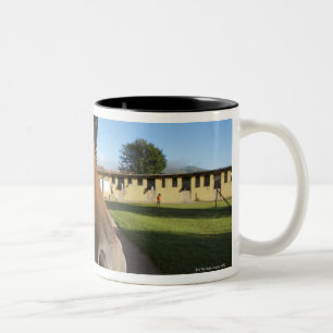 Pferdeporträt, Swasiland, Südafrika Zweifarbige Tasse