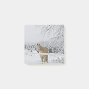 Pferdepost-itanmerkung Post-it Klebezettel