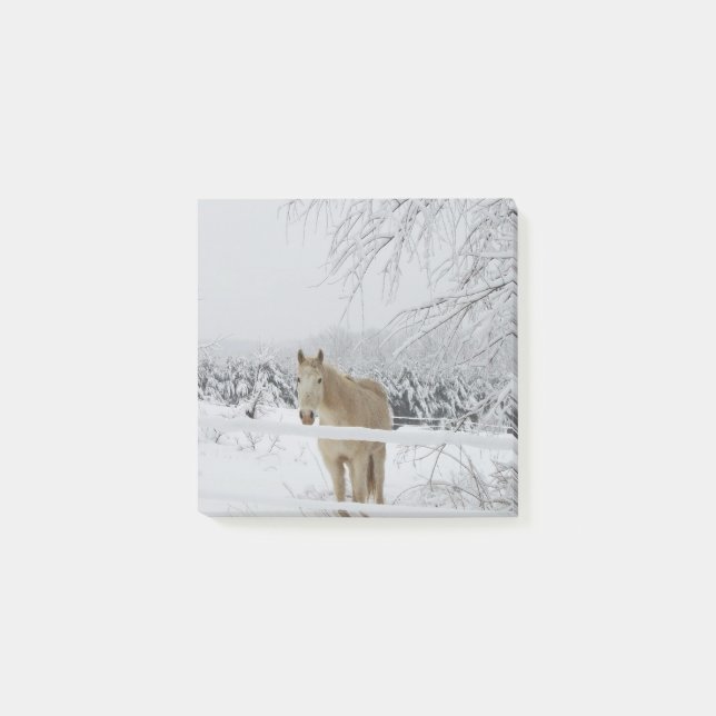 Pferdepost-itanmerkung Post-it Klebezettel (Vorderseite)