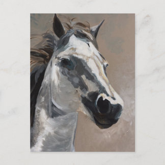 Pferdepostkarten Postkarte