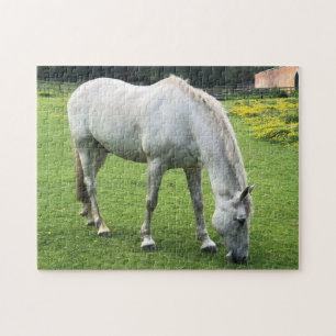 Pferdepuzzle - Ein weißes Pferd grast auf einem Fe