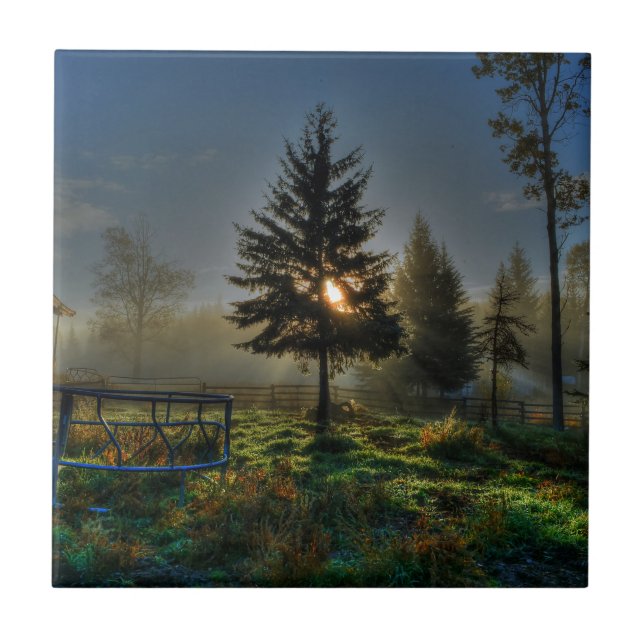 Pferderasse Sonnenaufgang Natur Foto Fliese (Vorderseite)