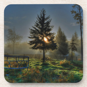 Pferderasse Sonnenaufgang Natur Foto Getränkeuntersetzer
