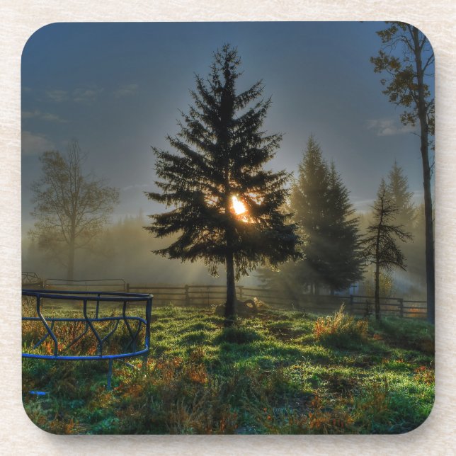Pferderasse Sonnenaufgang Natur Foto Getränkeuntersetzer (Vorderseite)