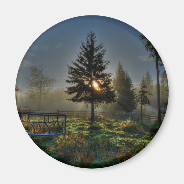 Pferderasse Sonnenaufgang Natur Foto Magnet (Vorne)