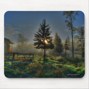 Pferderasse Sonnenaufgang Natur Foto Mousepad