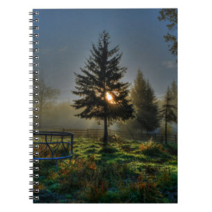 Pferderasse Sonnenaufgang Natur Foto Notizblock