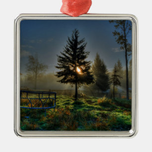 Pferderasse Sonnenaufgang Natur Foto Silbernes Ornament