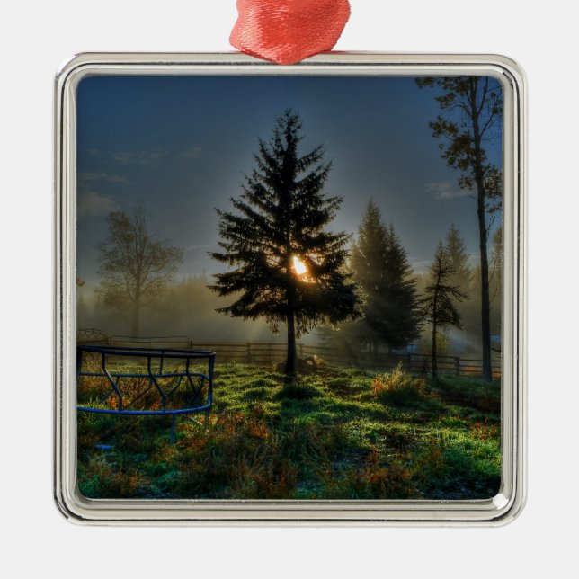Pferderasse Sonnenaufgang Natur Foto Silbernes Ornament (Vorne)