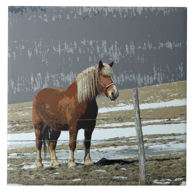 Pferderaube in Paddock Keramik Tile Fliese (Vorderseite)