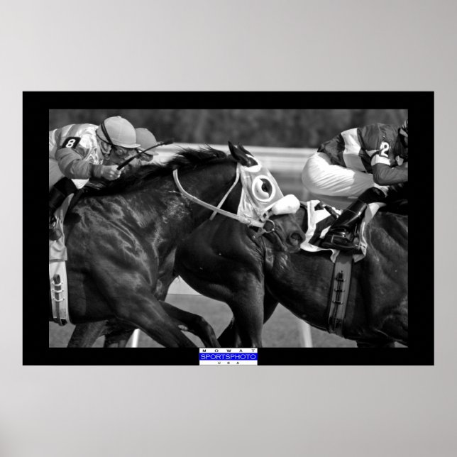 Pferderennen 002 B&W Mowat SpPh Poster (Vorne)