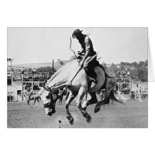 Pferderennen in Rodeo