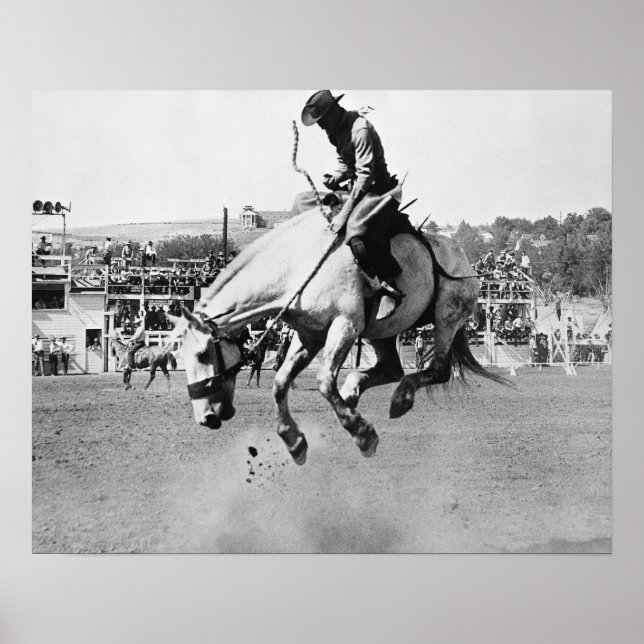 Pferderennen in Rodeo Poster (Vorne)